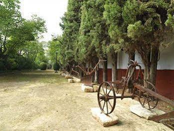 Hacienda La Vereda Montilla Exterior photo